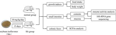 Soybean isoflavones modulate gut microbiota to benefit the health weight and metabolism